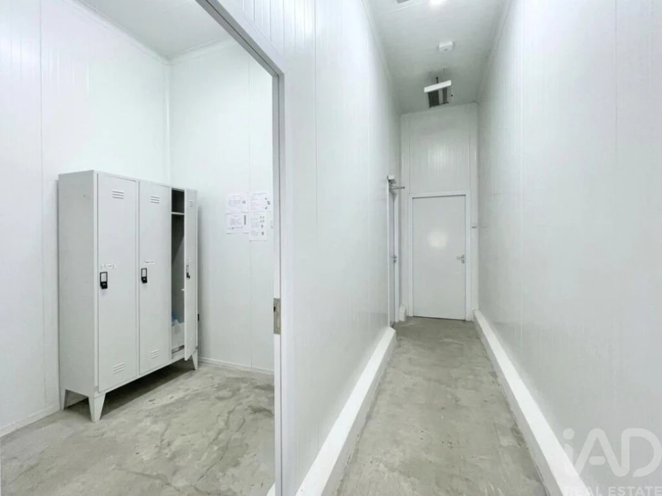 Loja para Venda em Campo de Besteiros Foto 15