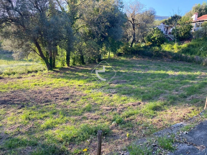 Terreno para Venda em Jolda (São Paio) Foto 6
