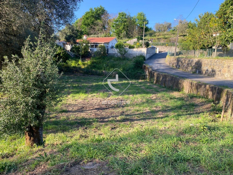 Terreno para Venda em Jolda (São Paio) Foto 8