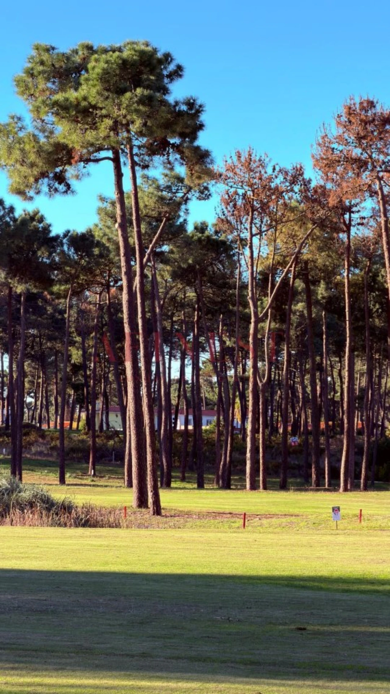 Moradia T6 para Venda em Charneca de Caparica e Sobreda Foto 18