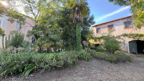 Moradia T8 para Venda em Arcos e Mogofores