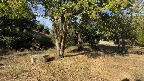 Moradia T8 para Venda em Arcos e Mogofores