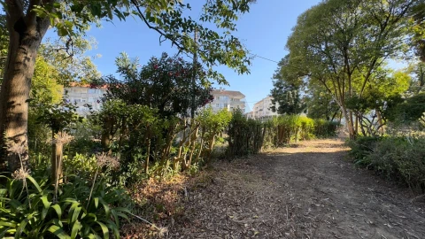 Moradia T8 para Venda em Arcos e Mogofores