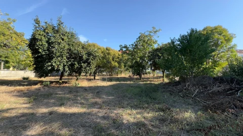 Moradia T8 para Venda em Arcos e Mogofores