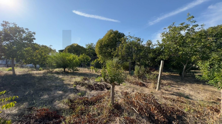 Moradia T8 para Venda em Arcos e Mogofores Foto 23