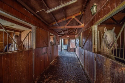 Quinta T11 para Venda em Azueira e Sobral da Abelheira