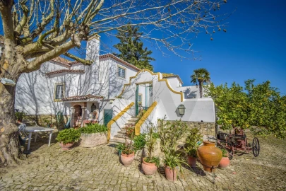 Quinta T11 para Venda em Azueira e Sobral da Abelheira