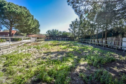 Quinta T11 para Venda em Azueira e Sobral da Abelheira