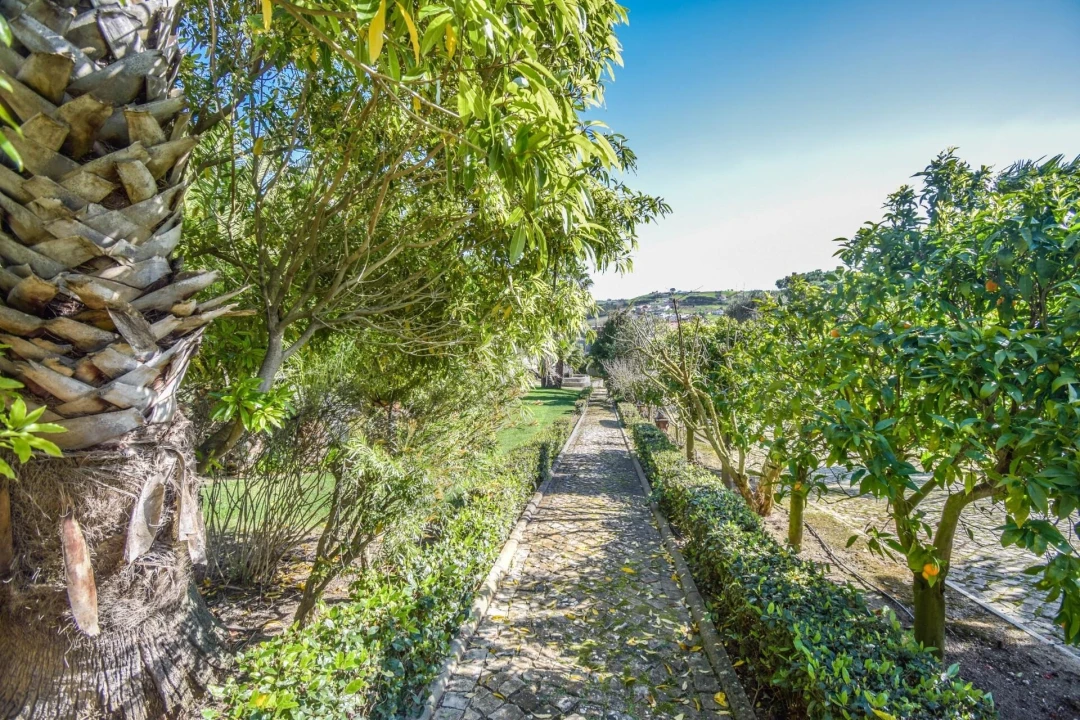 Quinta T11 para Venda em Azueira e Sobral da Abelheira Foto 37
