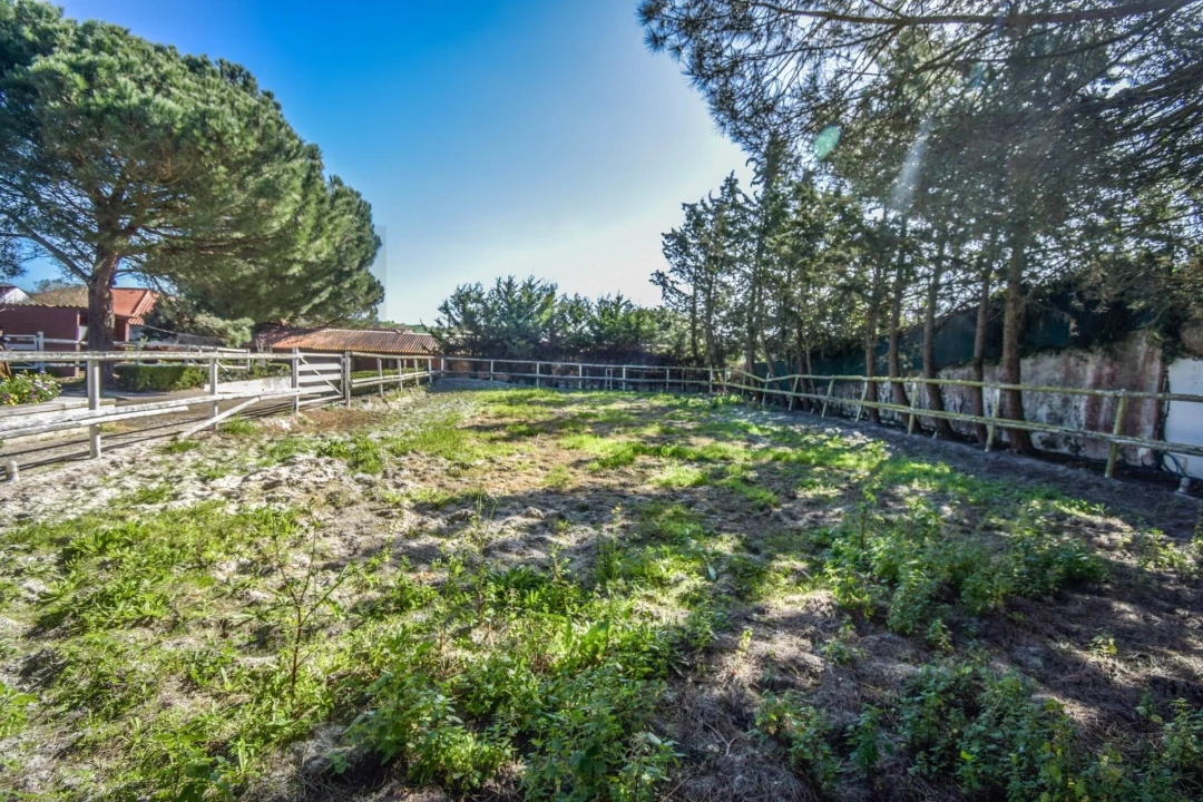 Quinta T11 para Venda em Azueira e Sobral da Abelheira Foto 44