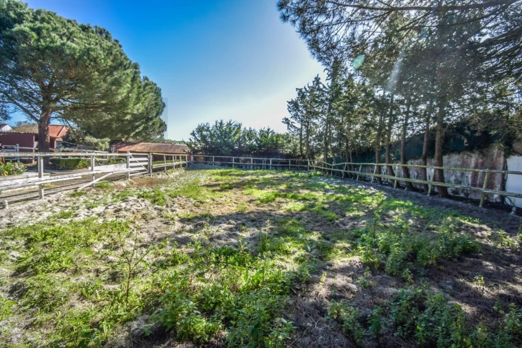 Quinta T11 para Venda em Azueira e Sobral da Abelheira Foto 44
