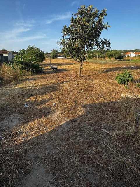 Moradia T2 para Venda em Couço