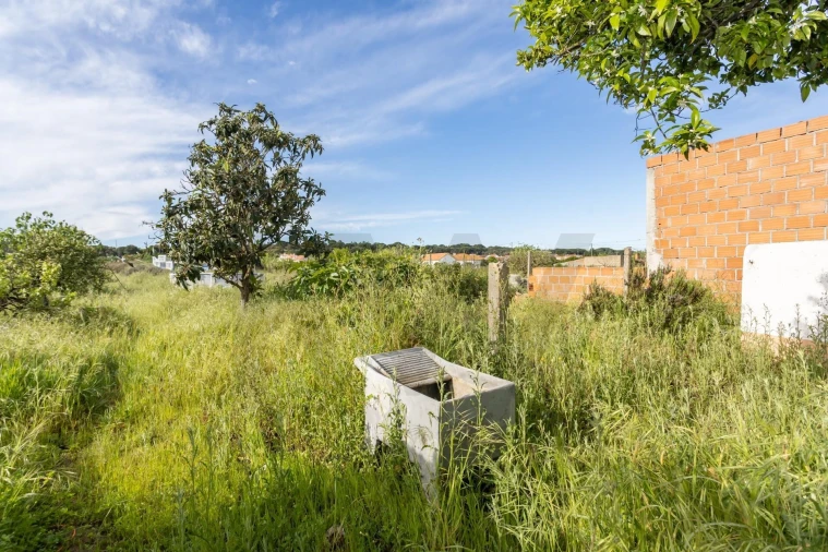 Moradia T2 para Venda em Couço Foto 38