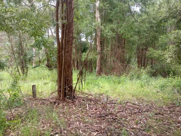 Terreno para Venda em Ouca