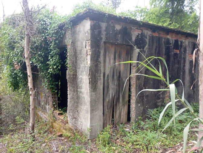Terreno para Venda em Ouca Foto 2