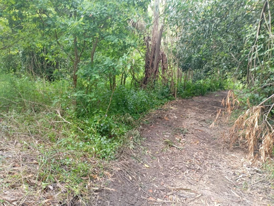 Terreno para Venda em Ouca Foto 6
