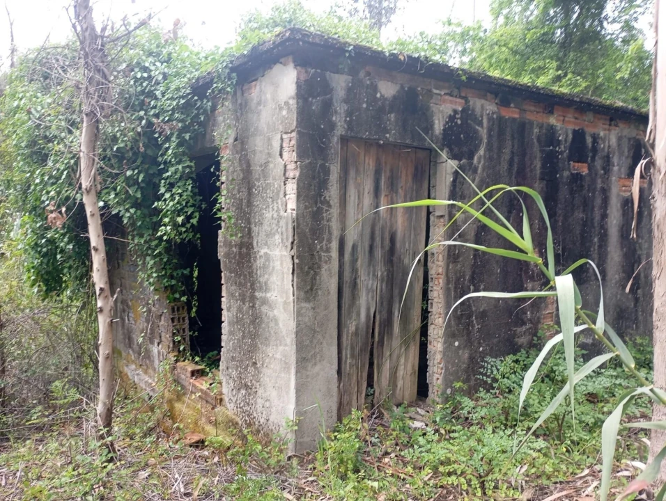 Terreno para Venda em Ouca Foto 2
