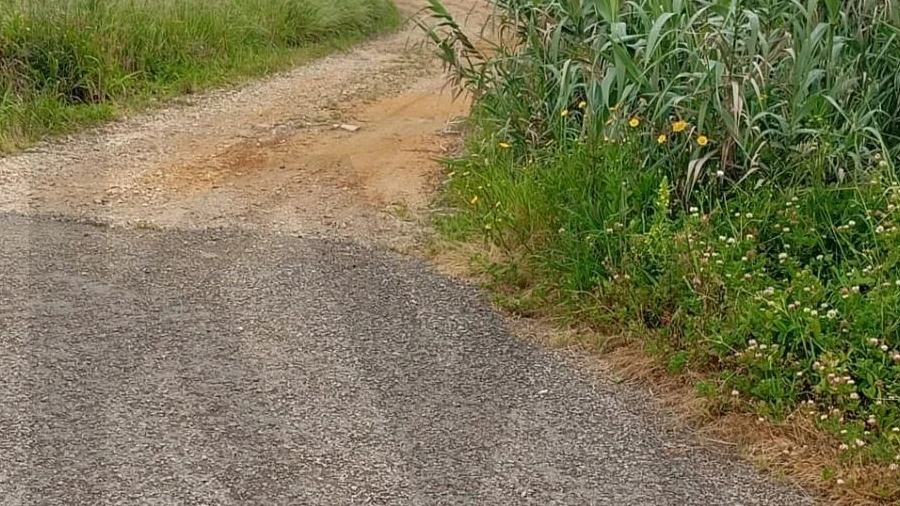 Terreno para Venda em Ouca