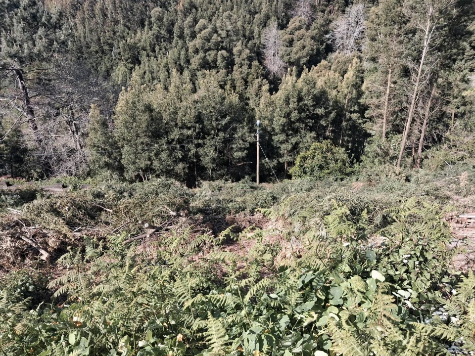 Terreno para Venda em Camacha Foto 9