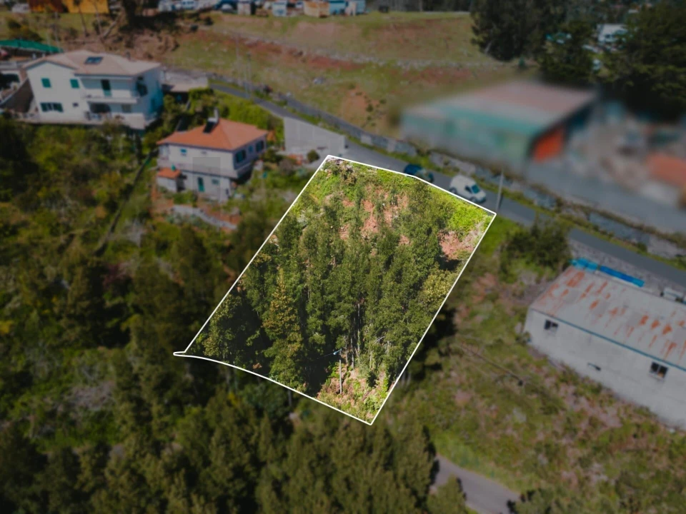 Terreno para Venda em Camacha Foto 16