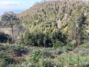 Terreno para Venda em Camacha