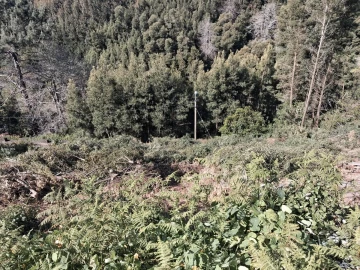 Terreno para Venda em Camacha