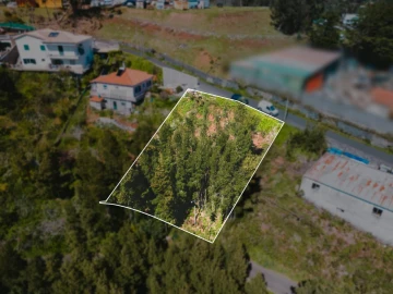 Terreno para Venda em Camacha