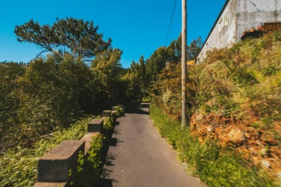 Terreno para Venda em Camacha