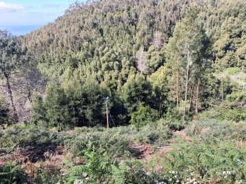 Terreno para Venda em Camacha