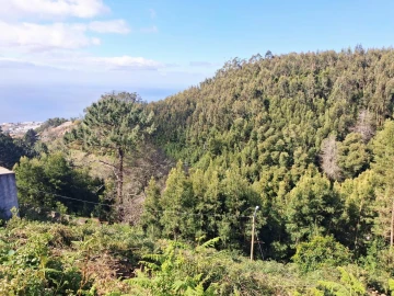 Terreno para Venda em Camacha