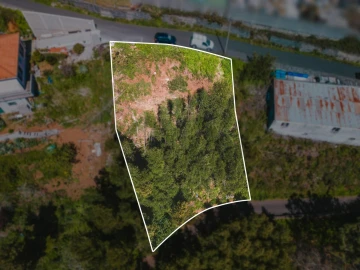 Terreno para Venda em Camacha