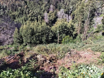 Terreno para Venda em Camacha