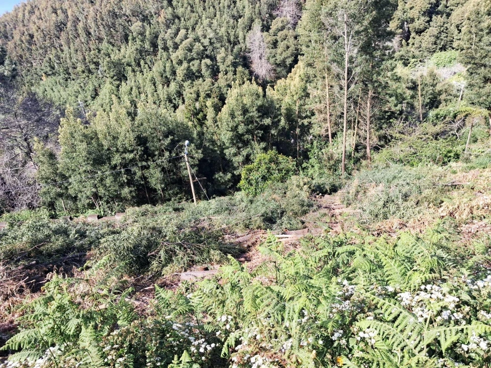 Terreno para Venda em Camacha Foto 4