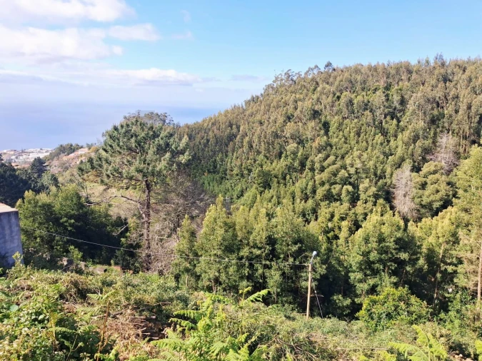 Terreno para Venda em Camacha Foto 5