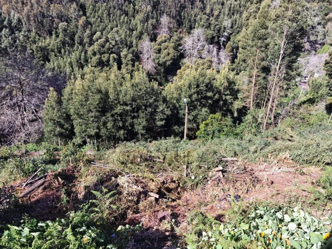 Terreno para Venda em Camacha Foto 7