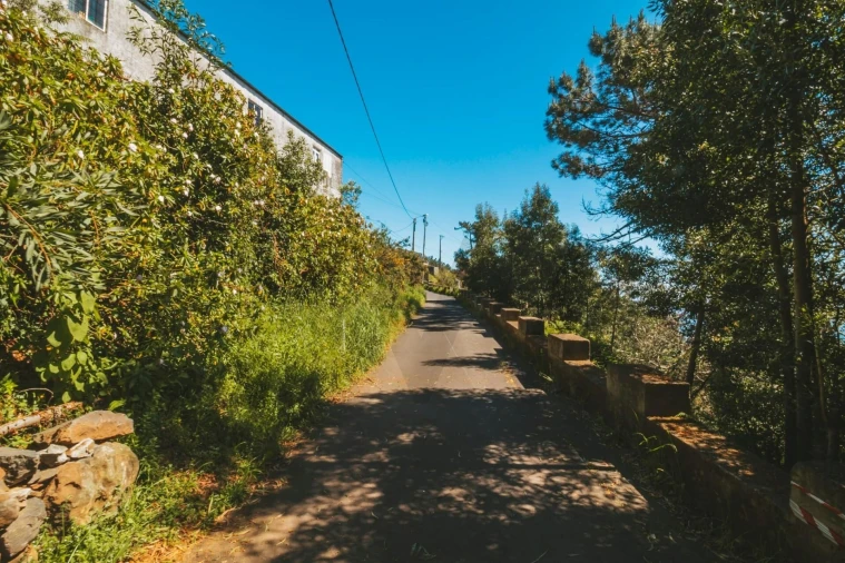 Terreno para Venda em Camacha Foto 3