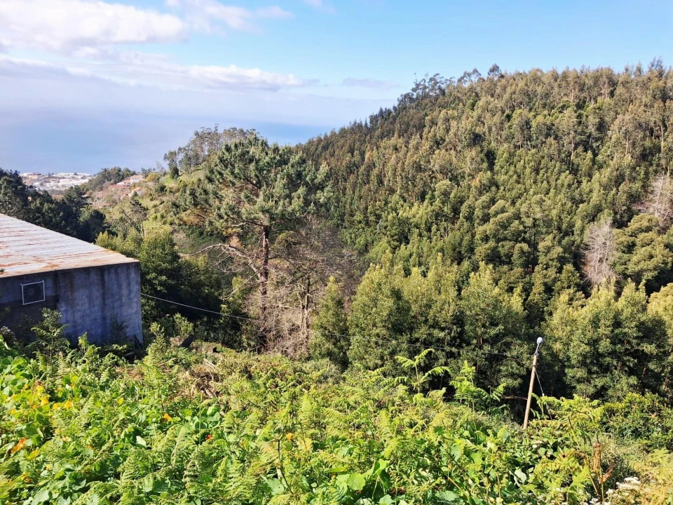 Terreno para Venda em Camacha Foto 8