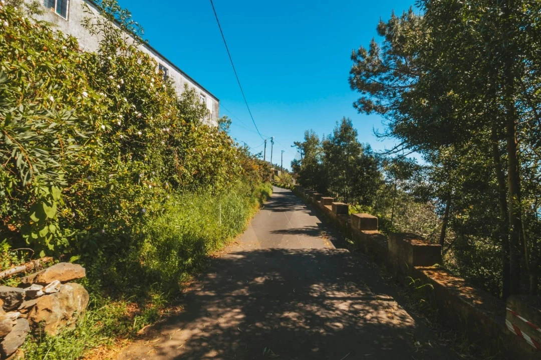 Terreno para Venda em Camacha Foto 3