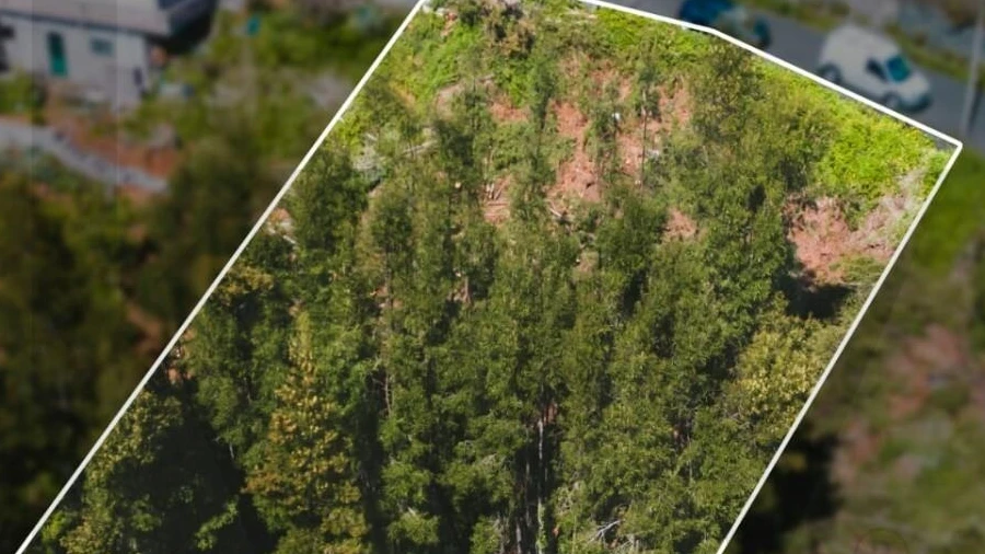Terreno para Venda em Camacha