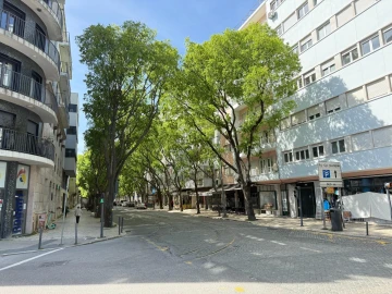 Loja para Arrendamento em Campo de Ourique