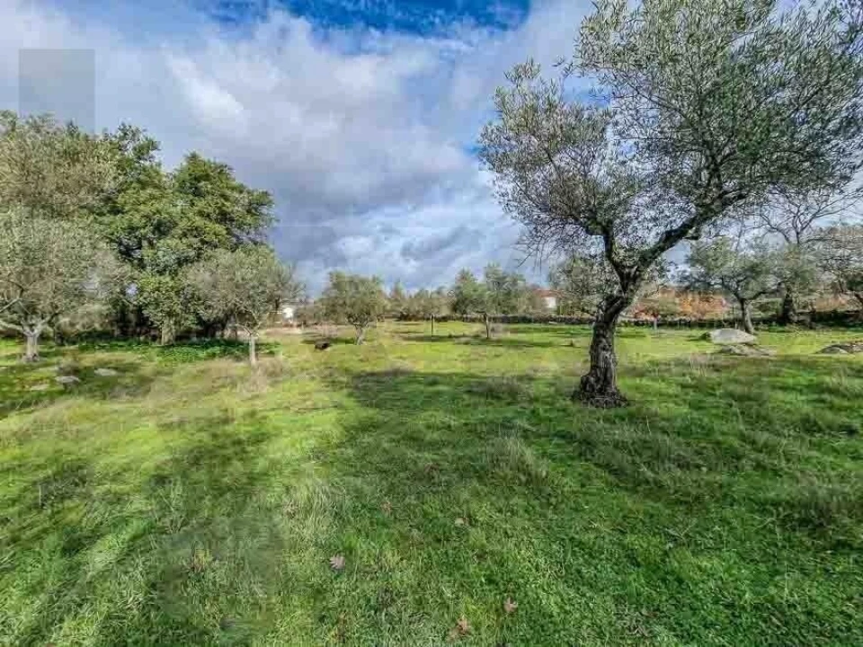 Terreno para Venda em Castelo Branco Foto 24