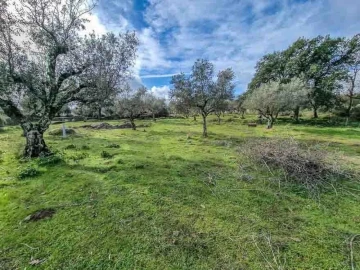 Terreno para Venda em Castelo Branco