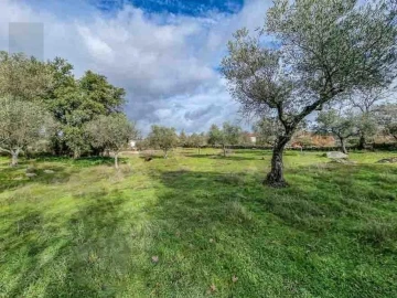 Terreno para Venda em Castelo Branco