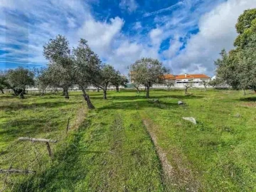 Terreno para Venda em Castelo Branco