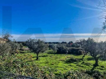 Terreno para Venda em Castelo Branco