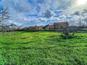 Terreno para Venda em Castelo Branco