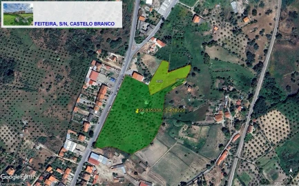 Terreno para Venda em Castelo Branco