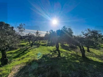 Terreno para Venda em Castelo Branco
