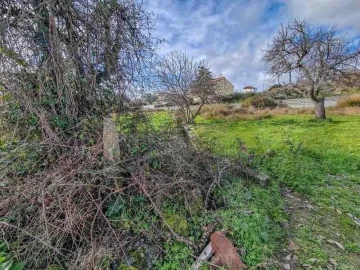Terreno para Venda em Castelo Branco