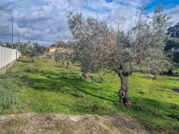 Terreno para Venda em Castelo Branco